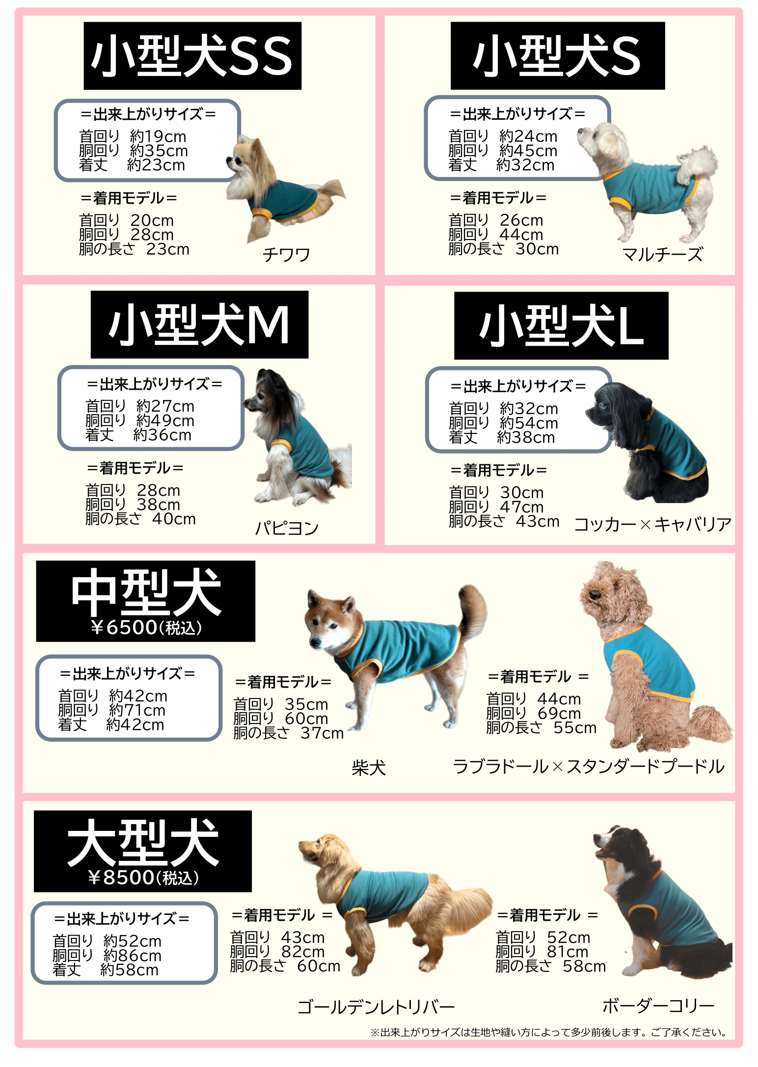 セール 犬服教室 姫路