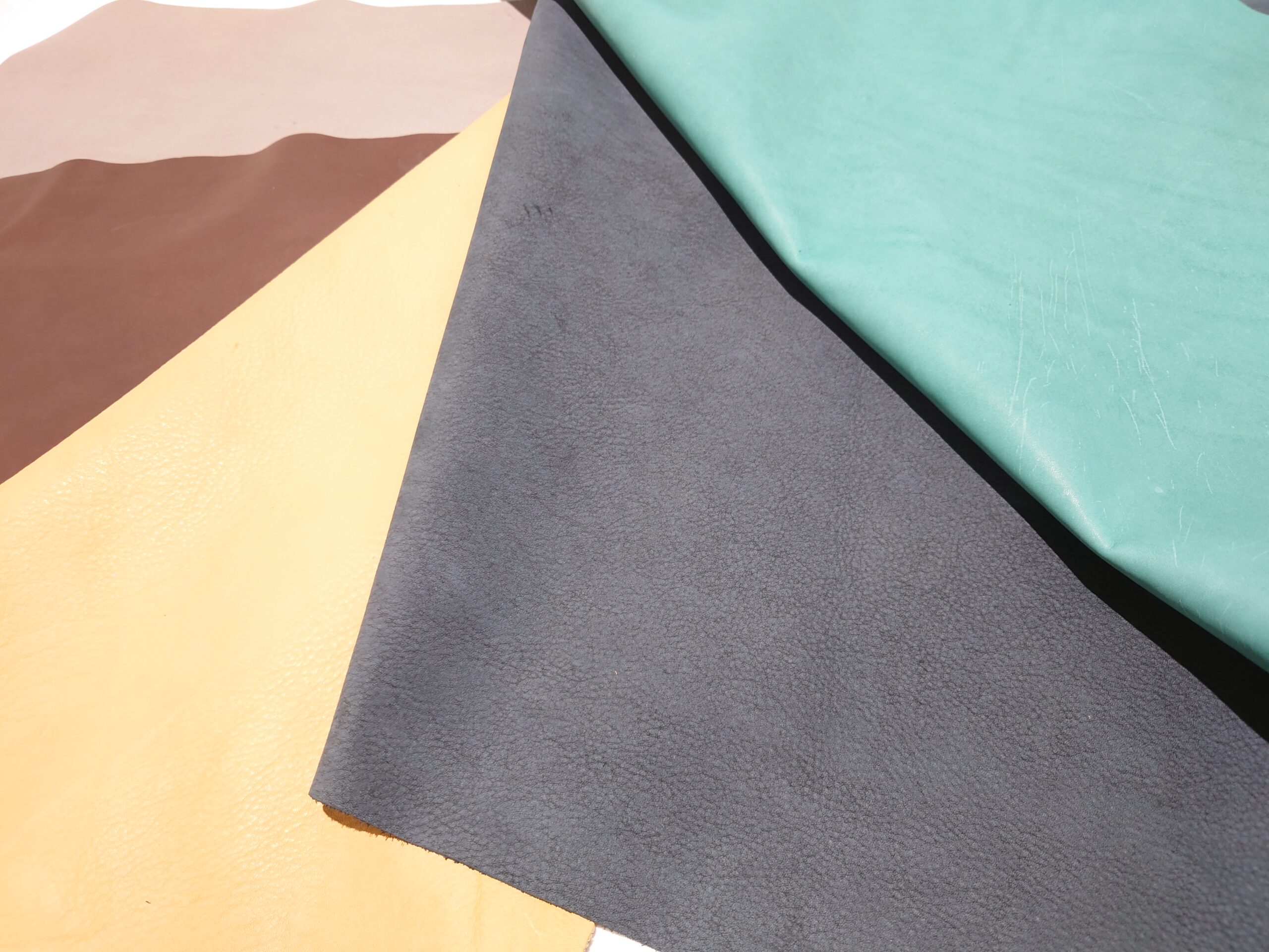 特価姫路レザー 5枚セット